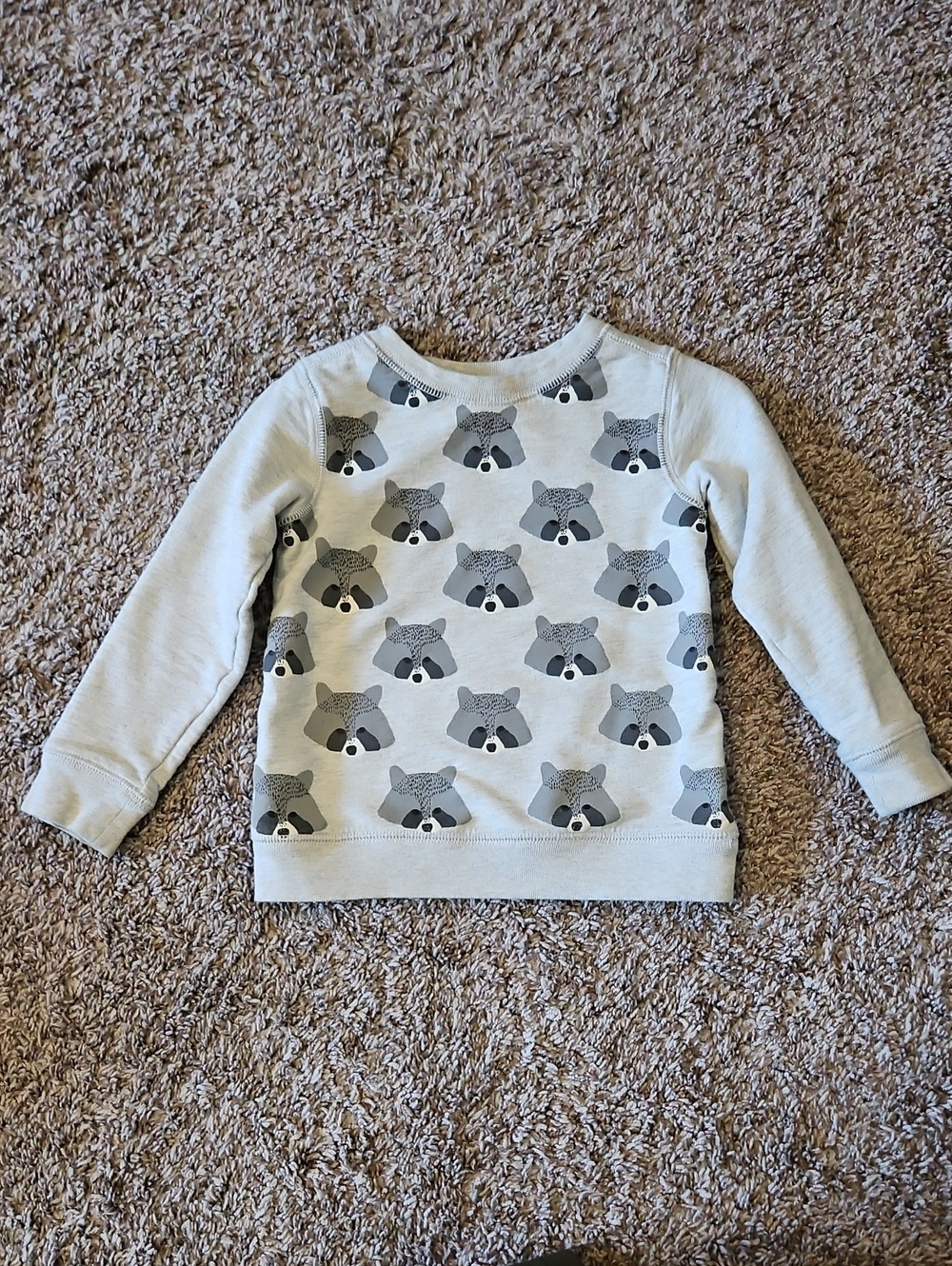 Tea Collection 100% Cotton Raccoon Print Pullover Sweatshirt Size 18-24 Months